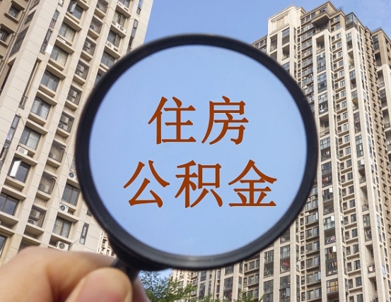 福建退休后查不到公积金明细了吗（退休后公积金查询不到原因）